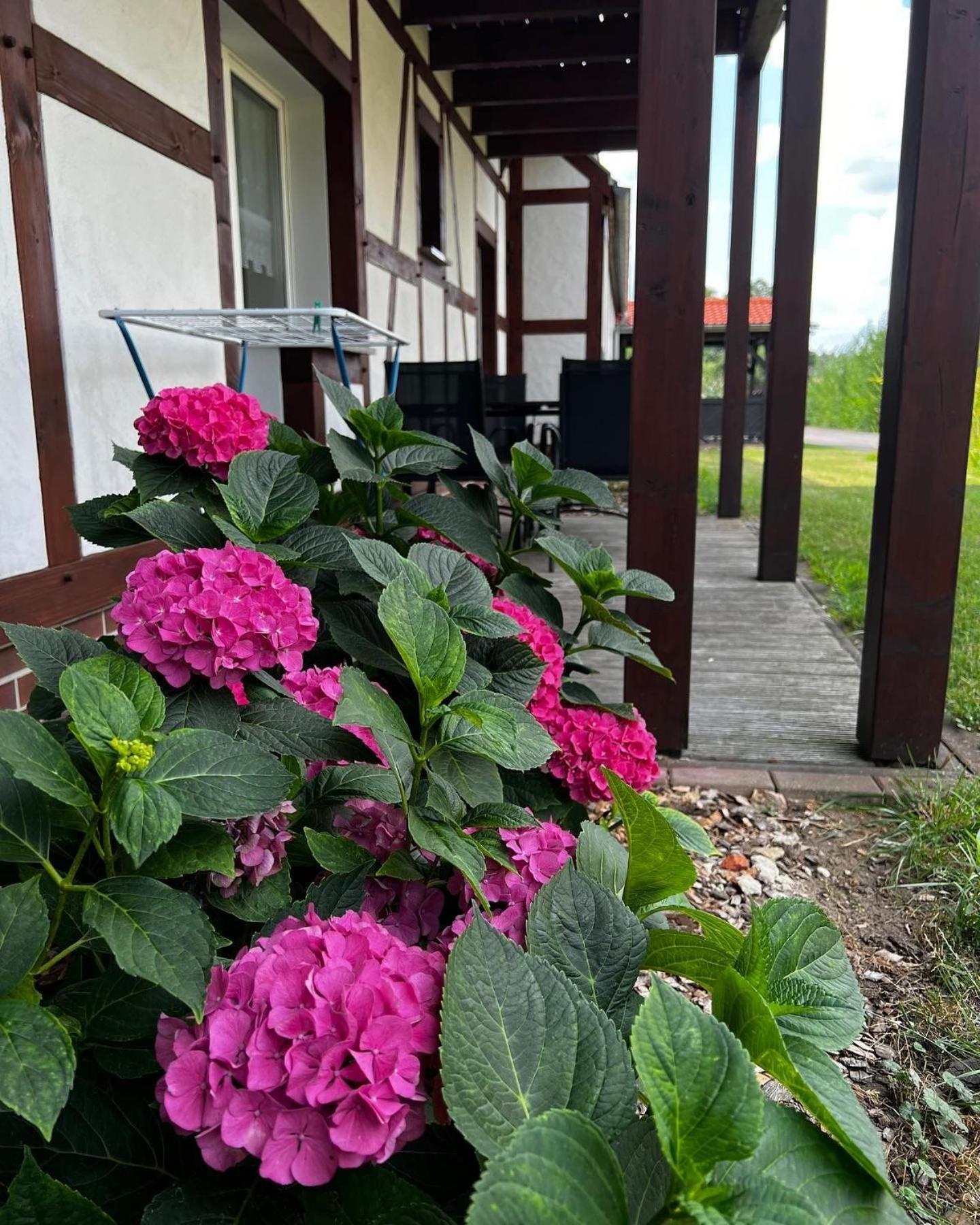 Landhaus Brodack Alt Zauche Экстерьер фото